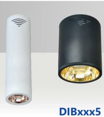 Đèn LED chiếu sâu gắn nổi trang trí DUHAL DIB1075