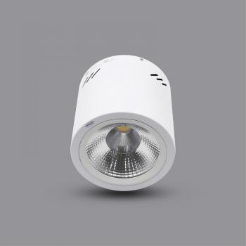 Đèn led ốp trần  Paragon PSDOO132L10 10w