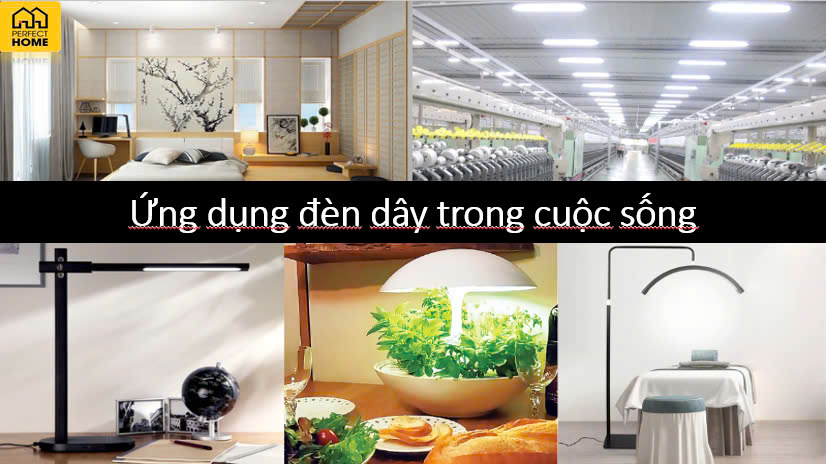 Tìm hiểu các ứng dụng phổ biến của đèn LED dây trong cuộc sống hàng ngày