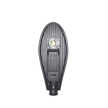 Đèn LED chiếu đường Rạng Đông D CSD02L/30W - AS 5000K