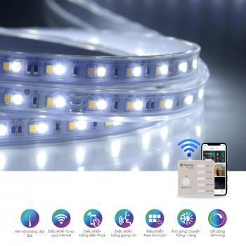 Dây SmartLED Rạng Đông LD01.RF.BLE 1000/7W, ánh sáng 3000K-6500K, 36W/5m, 1 cuộn 5m