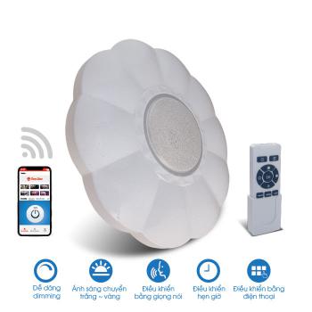 Đèn ốp trần Smartwifi Rạng Đông D LN15L 490/48W.WF.IR, Ánh sáng: 3000K-6500K